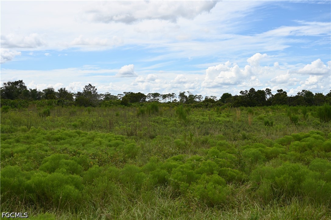 0 County Line Road East Bowling Green, FL 33834 - Photo 10 of 20