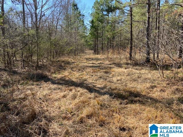 0 Jones Chapel Loop, Unit 15 / ACRES Springville, AL 35146 - Photo 2 of 10