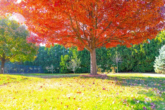 $399,900 | 1307 Longford Lane, Bloomington, IL 61704