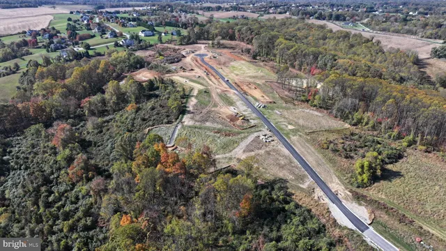 a view of a forest with a park