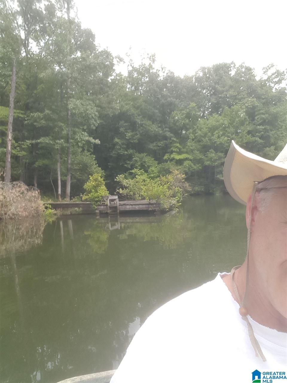 11-acres Deer Run Road, Unit 148330000001 010 Alabaster, AL 35007 - Photo 31 of 34