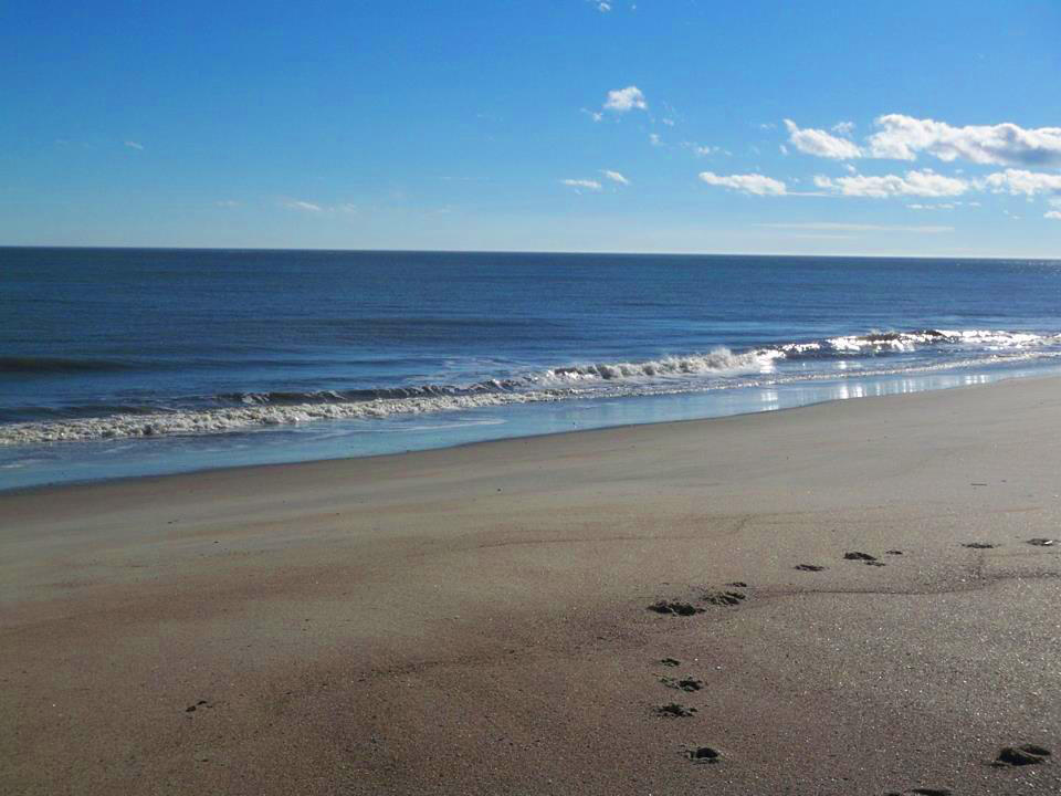 514 Oristo Ridge, Unit B Edisto Island, SC 29438 - Photo 23 of 97 8aa