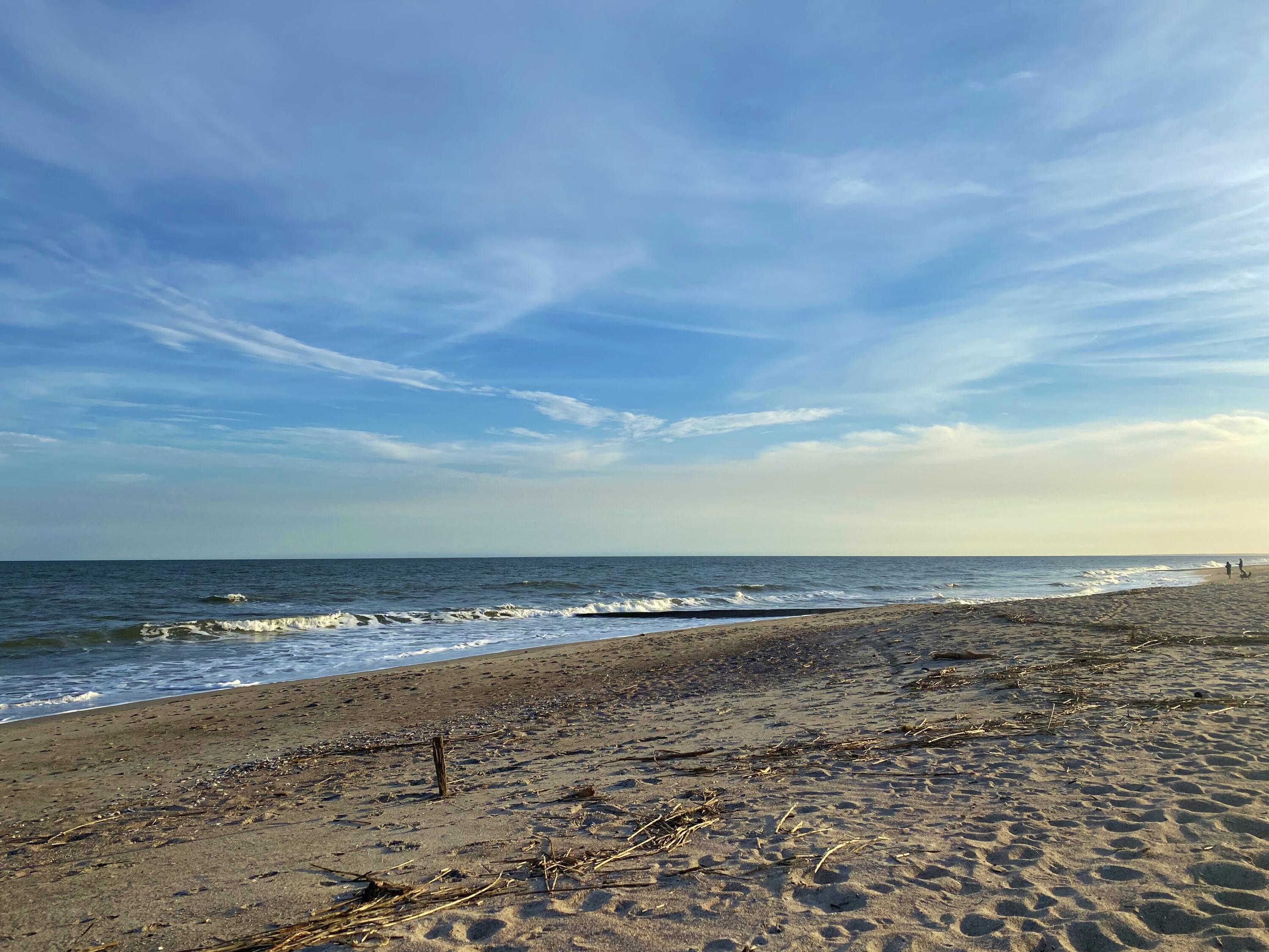 514 Oristo Ridge, Unit B Edisto Island, SC 29438 - Photo 85 of 97 84a
