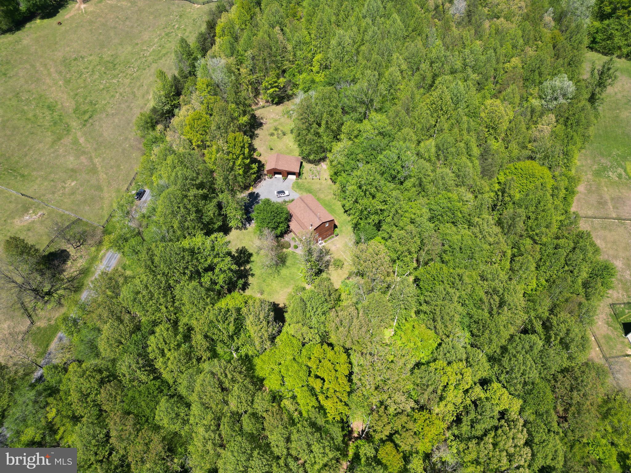 10418 Cliff Mills Road Marshall, VA 20115 - Photo 70 of 88 a view of a lush green forest with lots of trees
