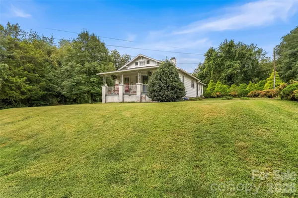 a view of a large garden with plants and large trees