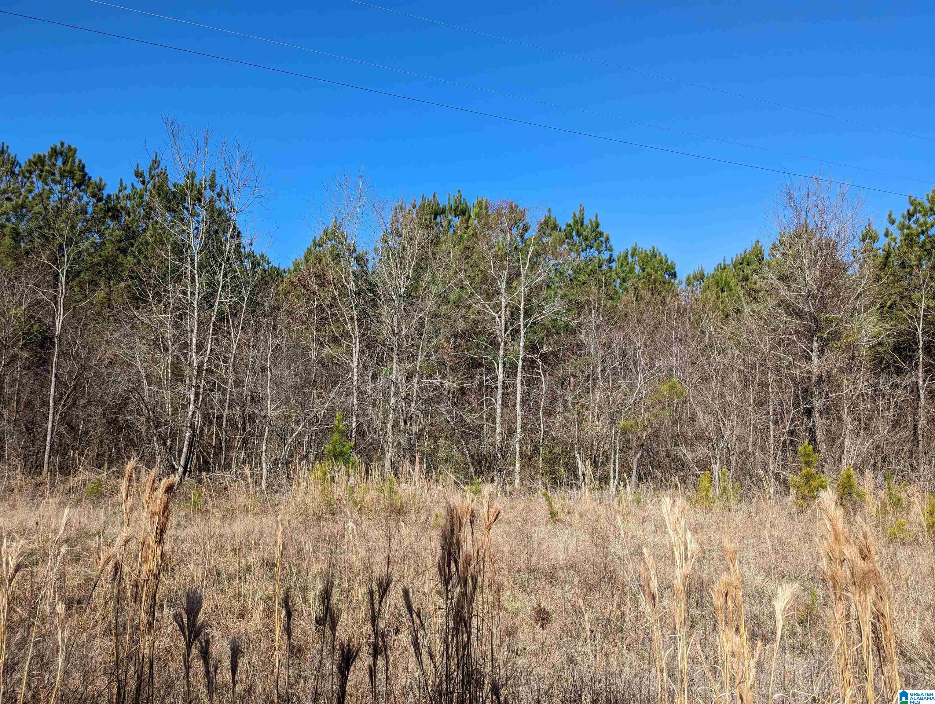 0 Chandler Springs Road Talladega, AL 35160 - Photo 28 of 35