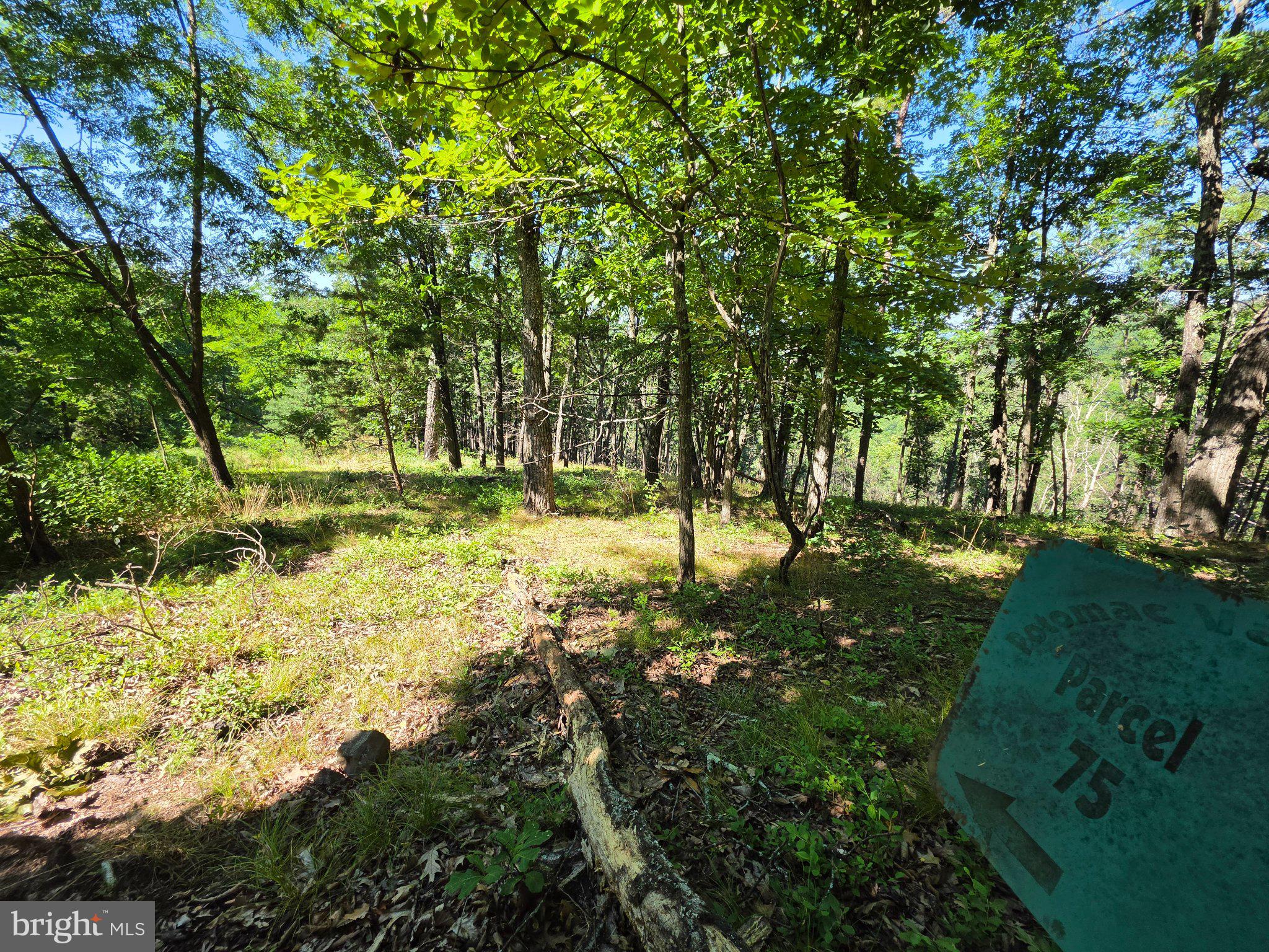 Lot 75 Hunters Rdg Trail Milam, WV 26838 - Photo 24 of 49 Gallery Image 24