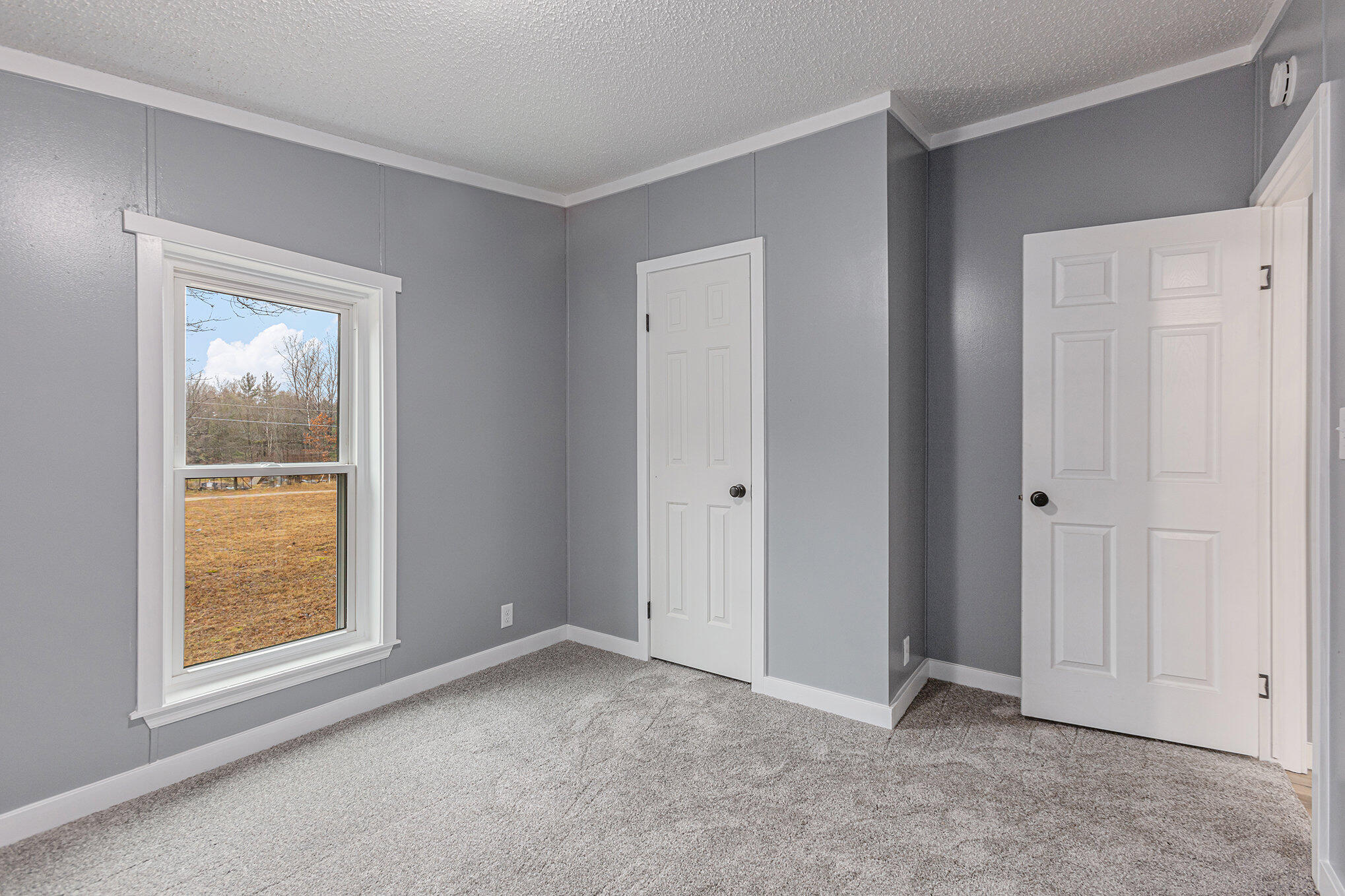 19332 1 Mile Road Morley, MI 49336 - Photo 18 of 23 012_1_mile_9