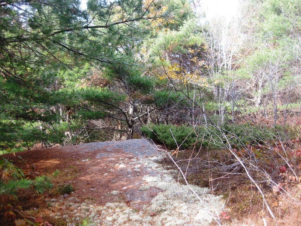 4 Gloria's Way Road Franklin, ME 04634 - Photo 6 of 8 Photo
