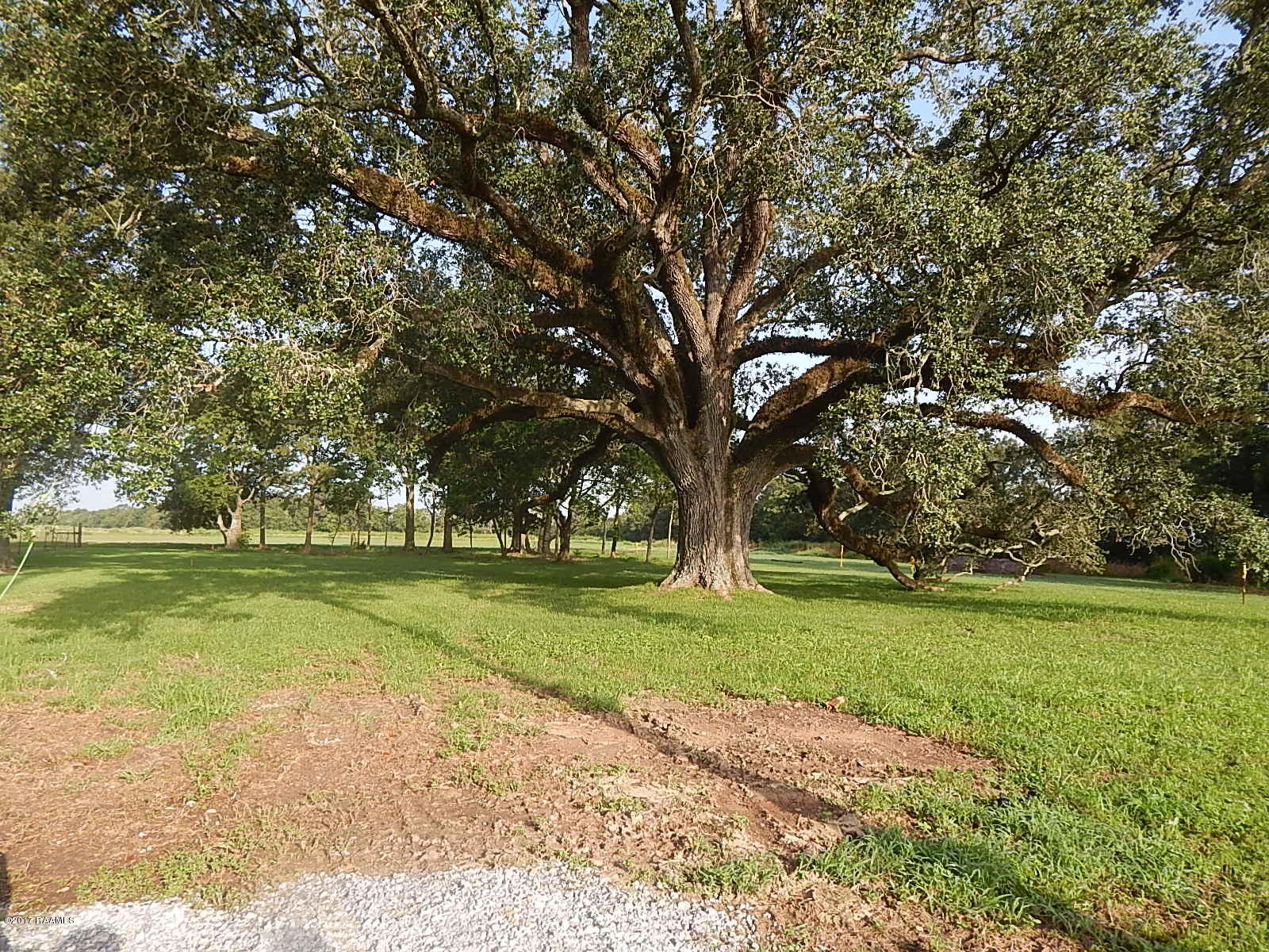 5219 Ebenezer Road Crowley, LA 70526 - Photo 4 of 6
