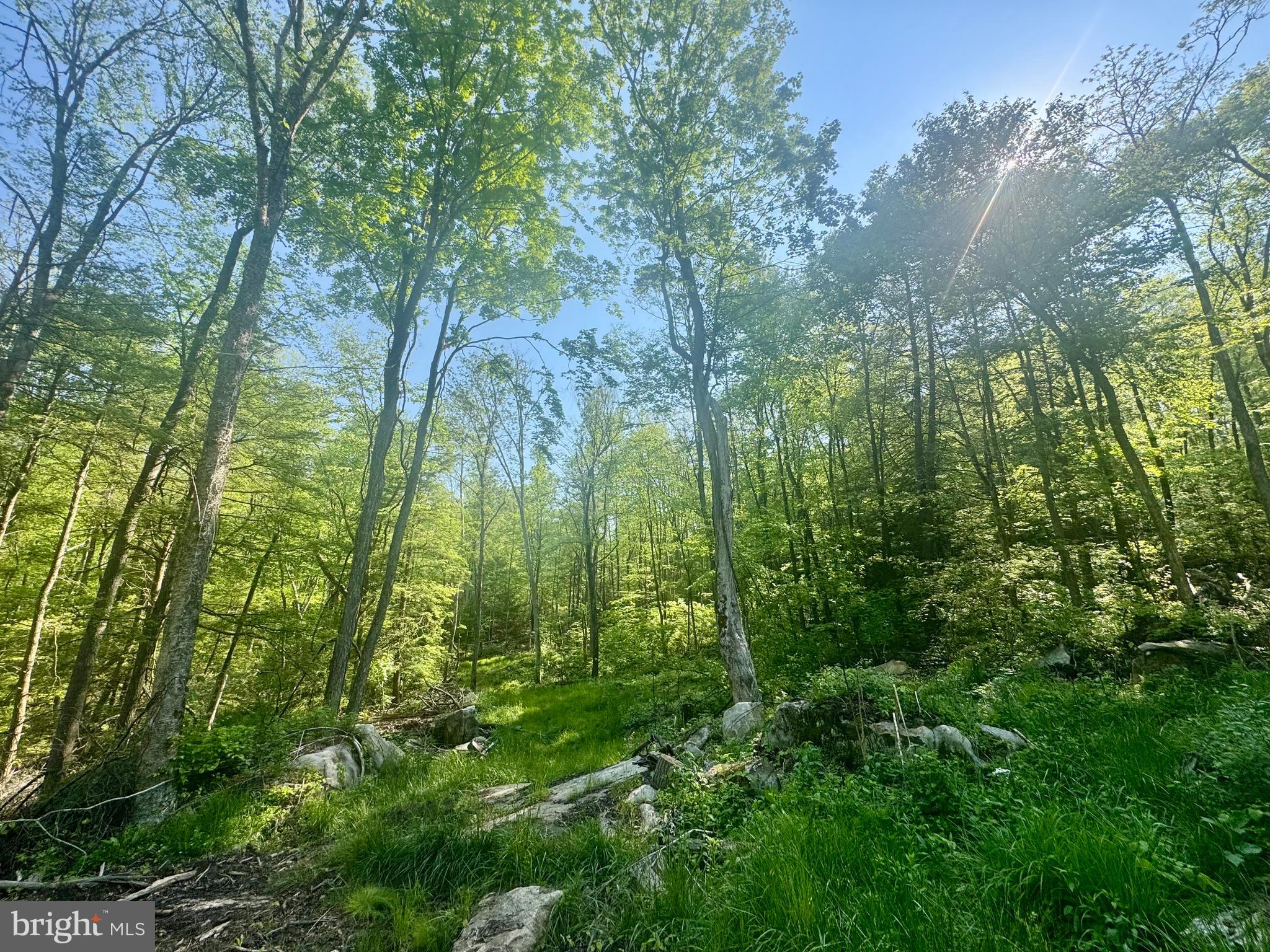 Tract B John Orr Road Independence, WV 26374 - Photo 25 of 30