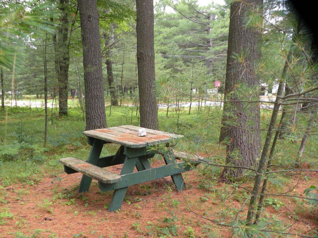 207 Skeetfield Road Oxford, ME 04270 - Photo 11 of 23 Photo