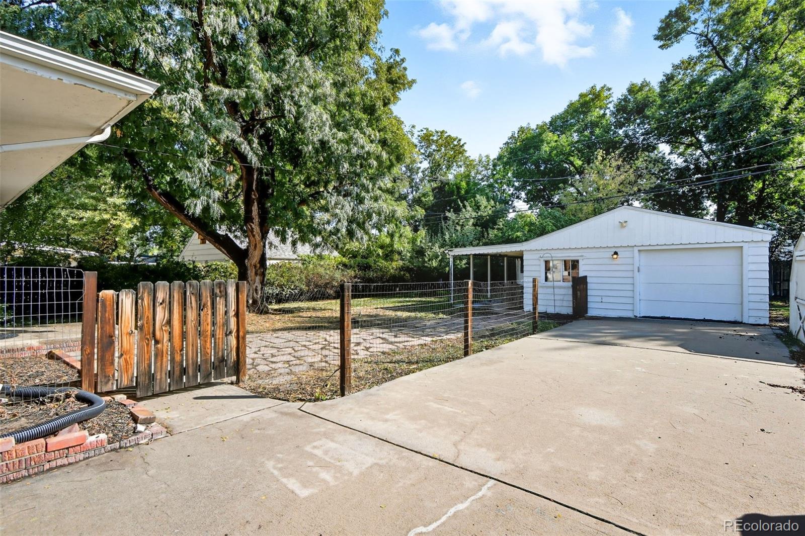 3420 Otis Street Wheat Ridge, CO 80033 - Photo 27 of 32 a view of backyard and tree