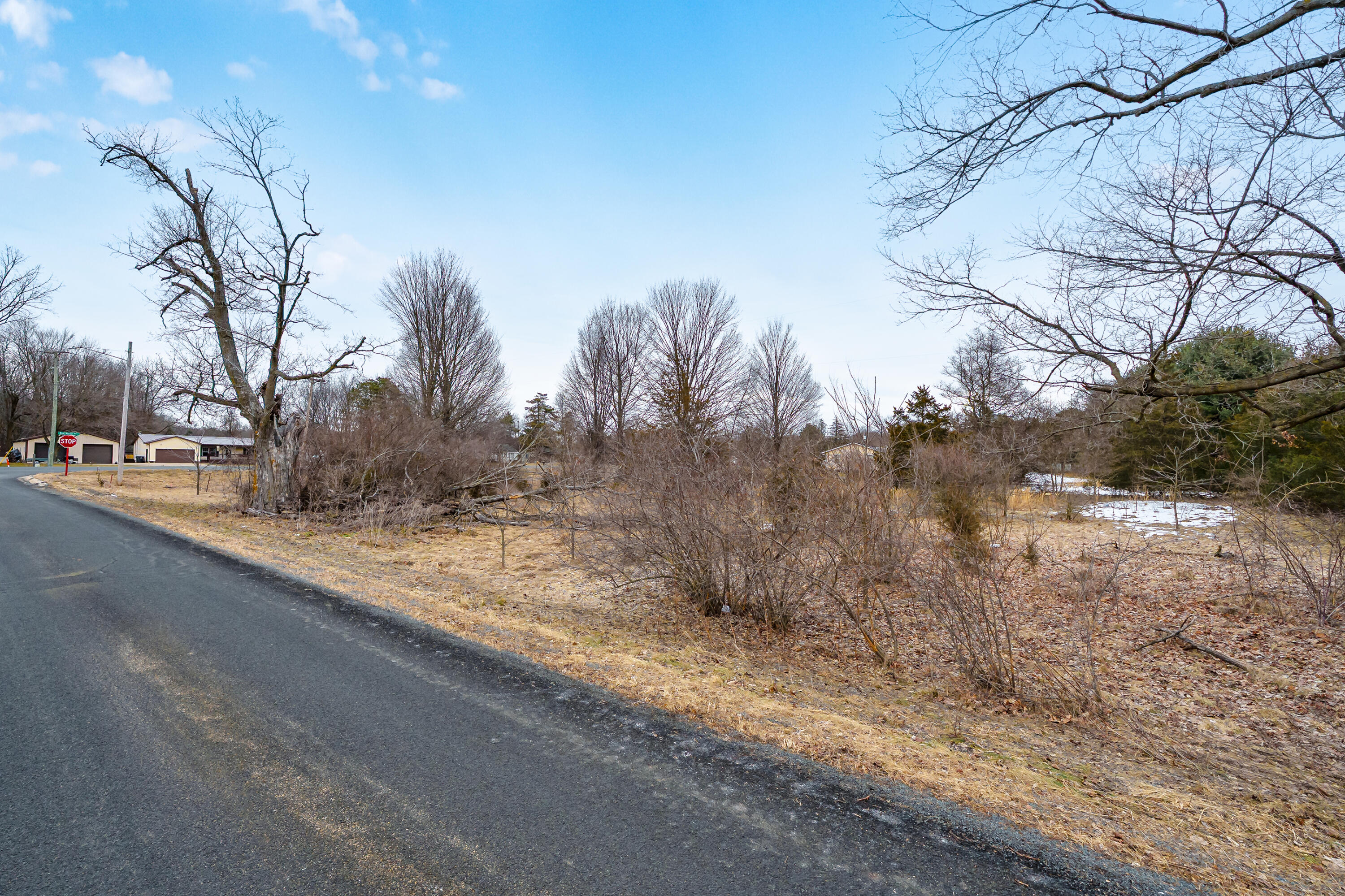 22889 Red Arrow Highway Mattawan, MI 49071 - Photo 11 of 15 Red_Arrow_Hwy_VL_Mattawan_49071-18