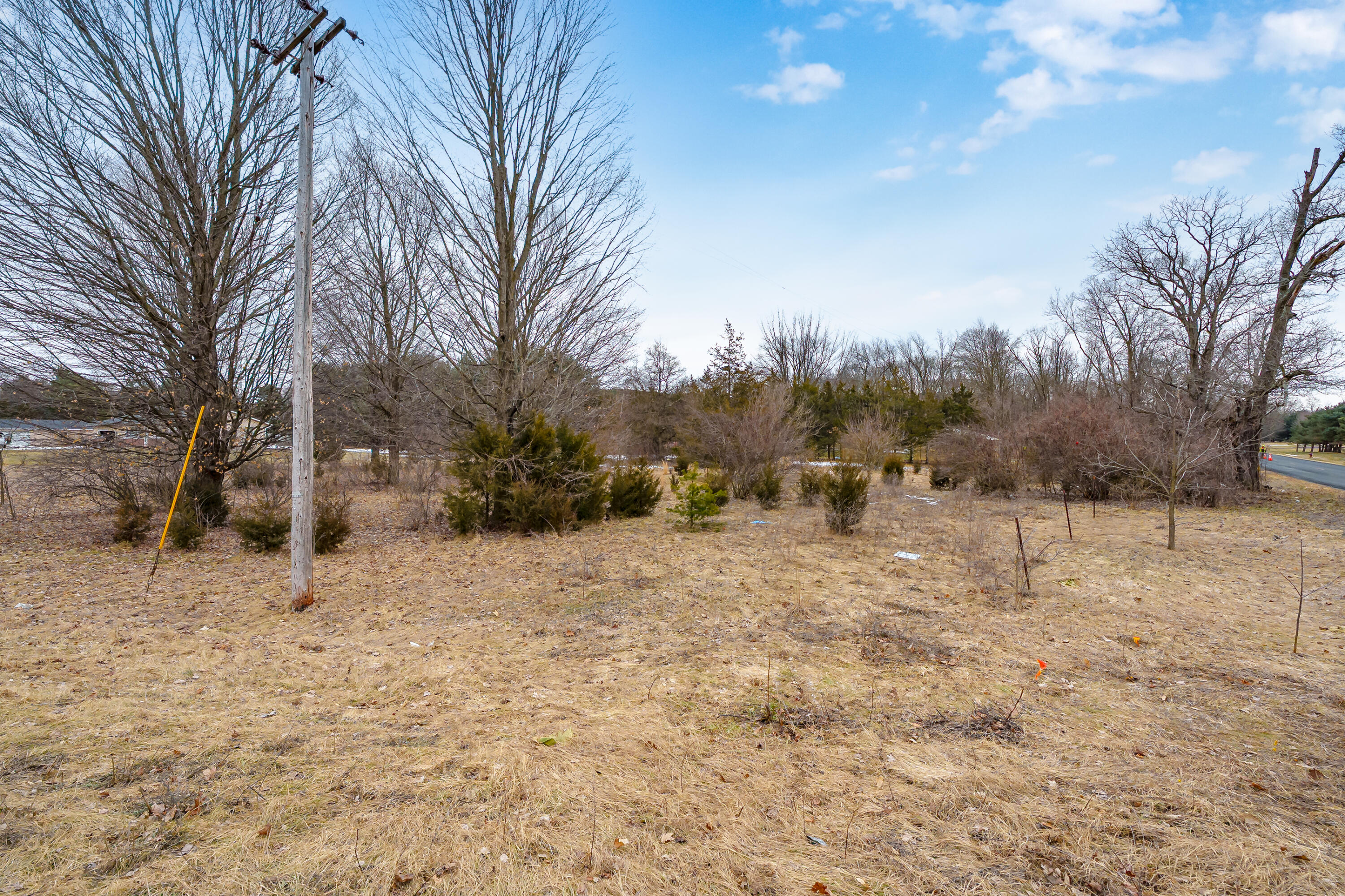 22889 Red Arrow Highway Mattawan, MI 49071 - Photo 8 of 15 Red_Arrow_Hwy_VL_Mattawan_49071-15