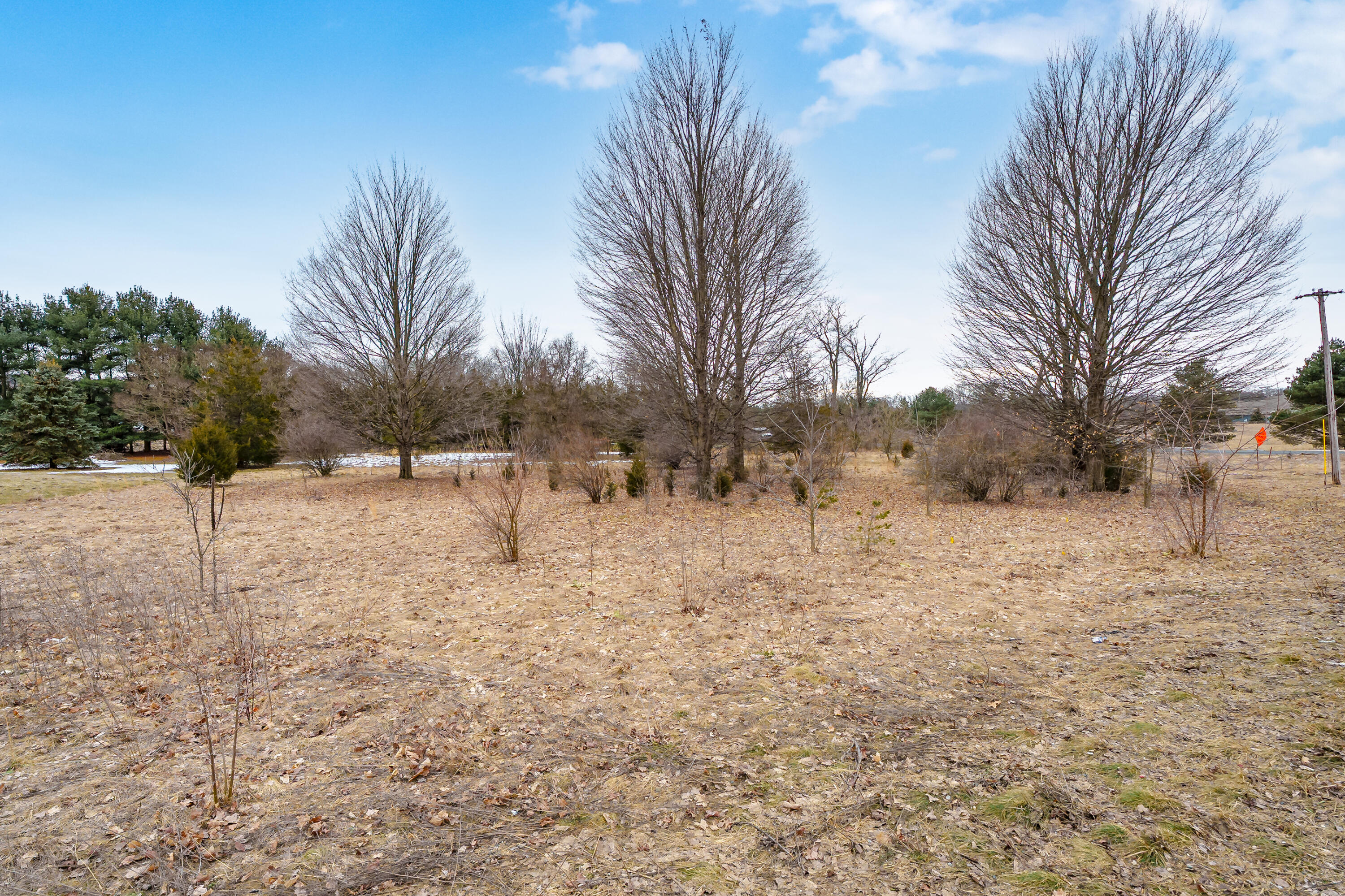 22889 Red Arrow Highway Mattawan, MI 49071 - Photo 10 of 15 Red_Arrow_Hwy_VL_Mattawan_49071-17