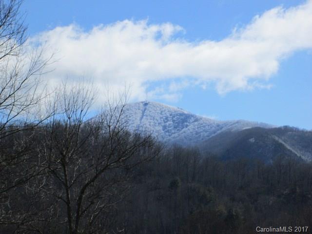 136 Asbury Road Canton, NC 28716 - Photo 23 of 24