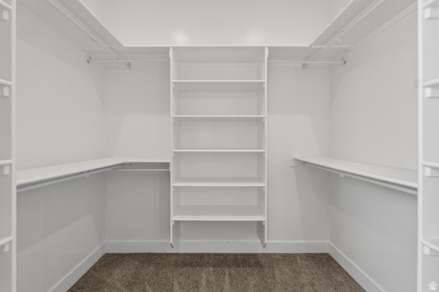 169 West 100 South Joseph, UT 84739 - Photo 15 of 35 Walk in closet with dark carpet