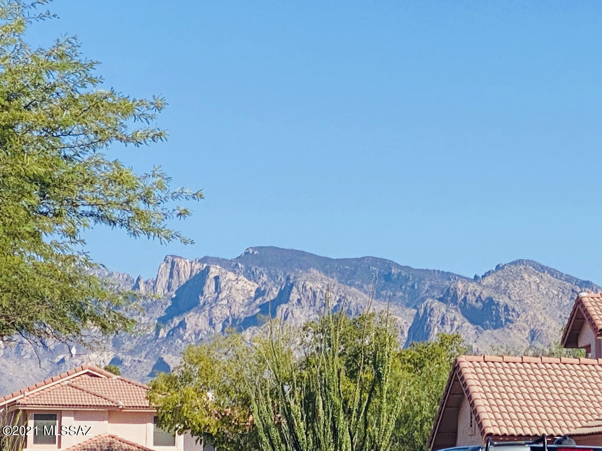3650 West Mesa Ridge Trail Tucson, AZ 85742 - Photo 42 of 44