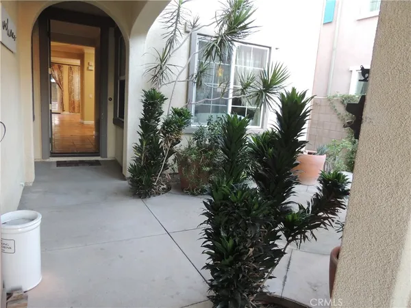 a couple of potted plants in front of a door