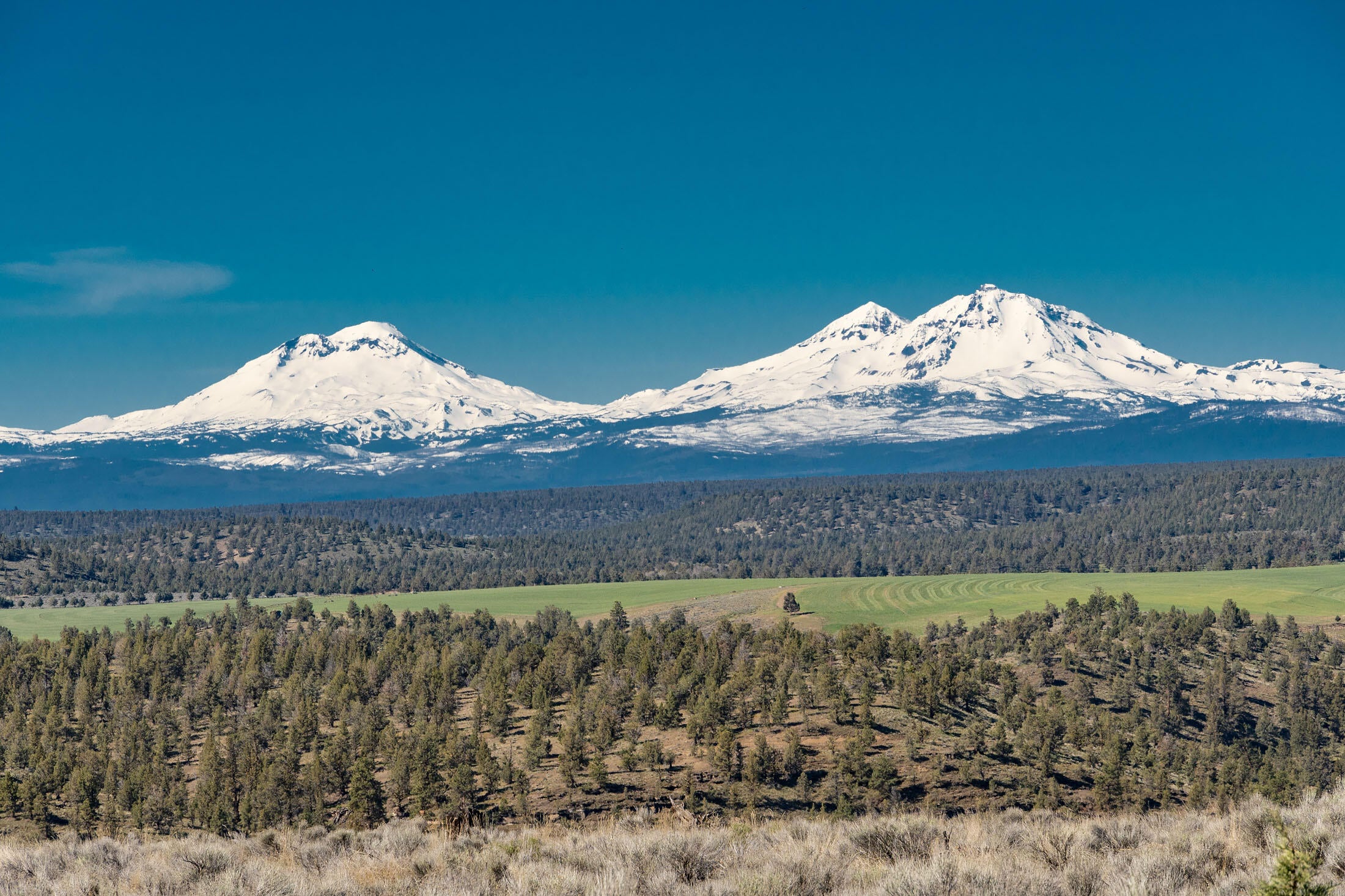 8205 Southwest Sand Ridge Road Terrebonne, OR 97760 - Photo 5 of 57 8205 SW Sand 004 copy