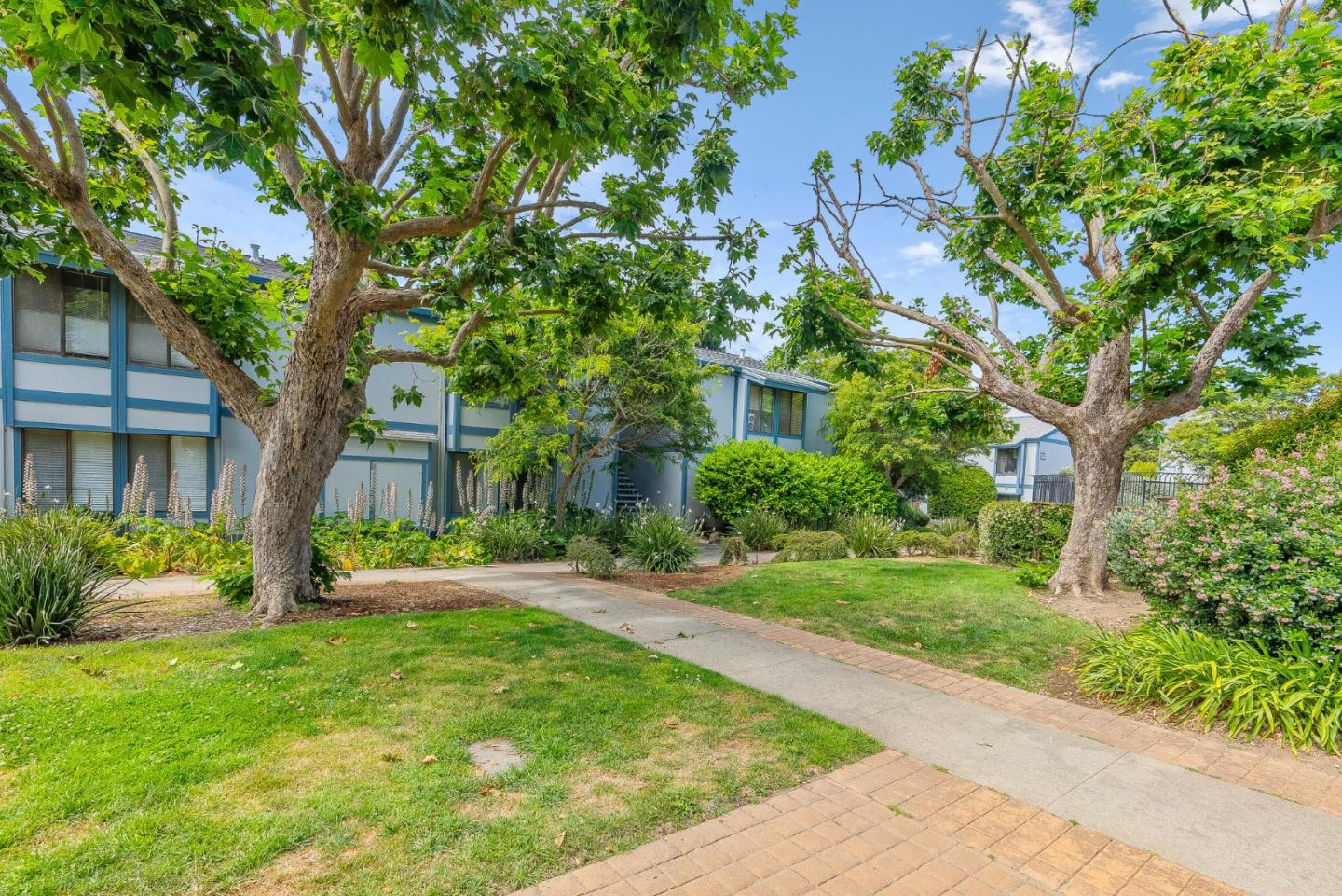 1925 46th Avenue, Unit 78 Capitola, CA 95010 - Photo 16 of 31 a view of a house with a tree in a yard