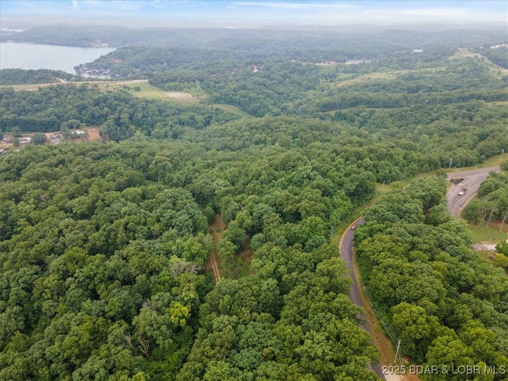 155 Rabbit Road Camdenton, MO 65020 - Photo 4 of 9