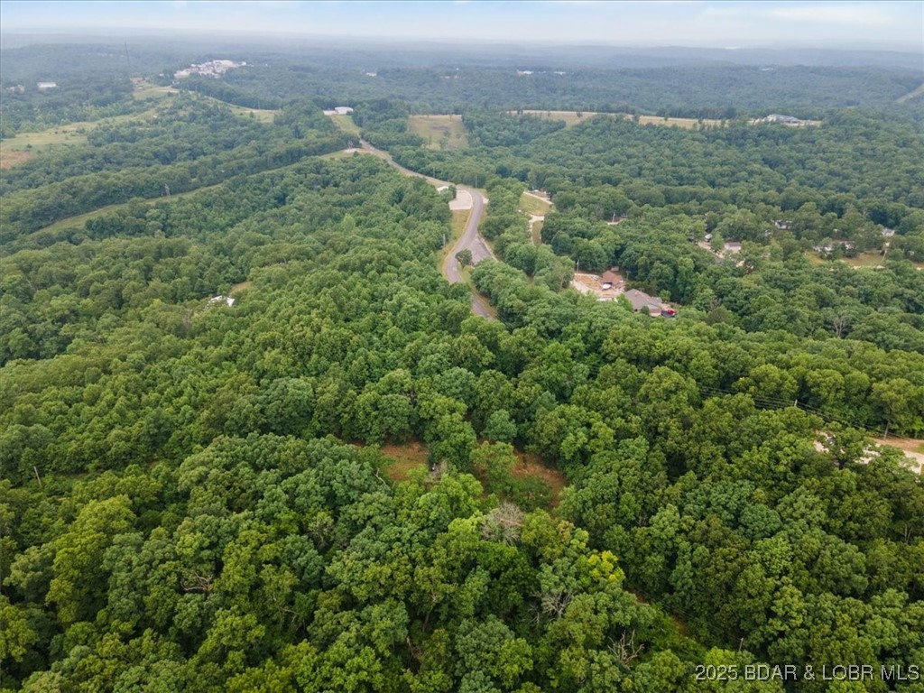 155 Rabbit Road Camdenton, MO 65020 - Photo 6 of 9