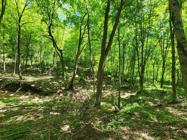 $99,000 | 13486 Gurnsey Drive, Ferryville, WI 54628