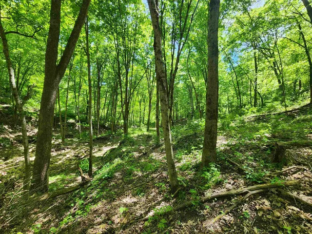 $99,000 | 13486 Gurnsey Drive, Ferryville, WI 54628