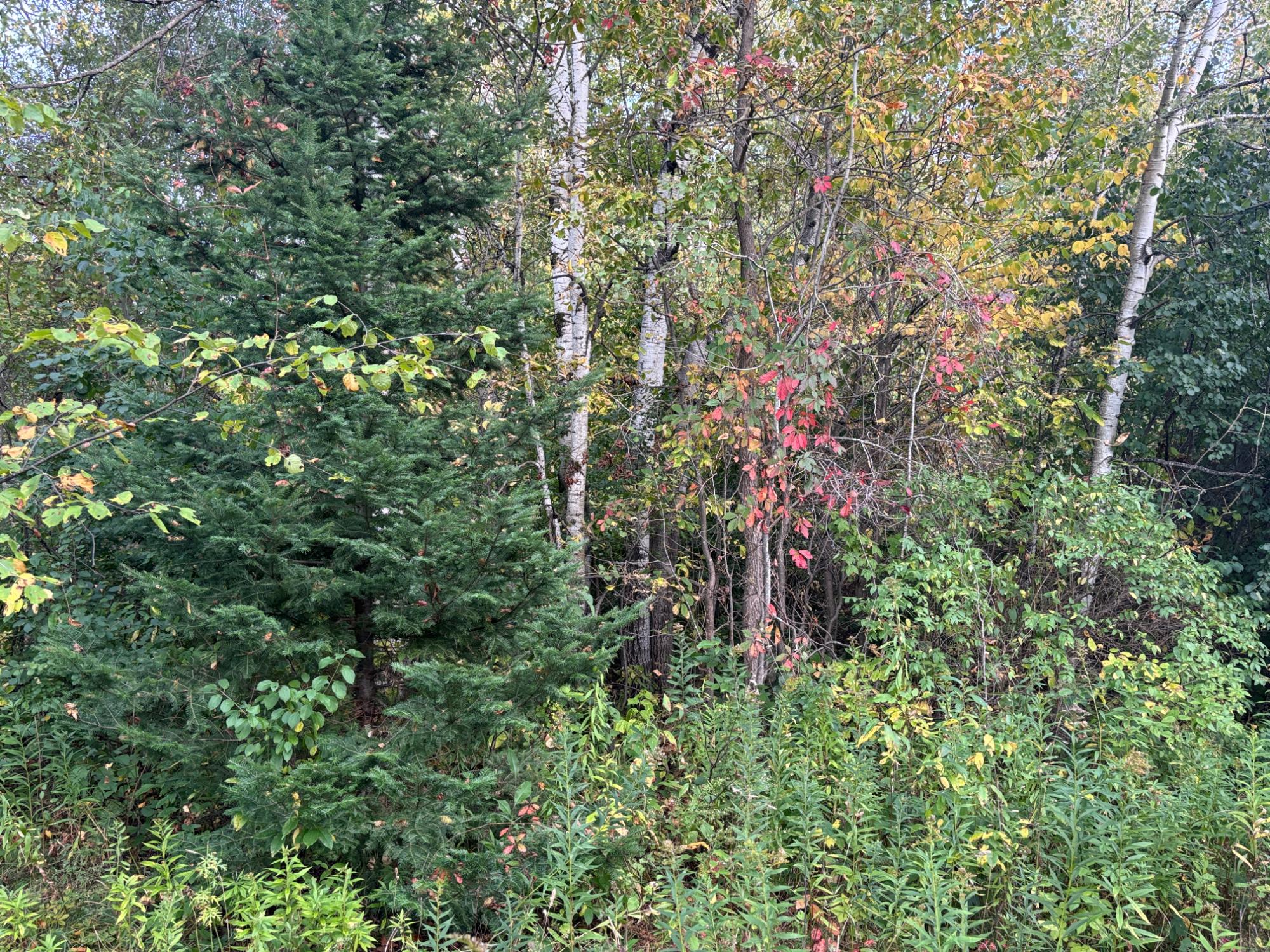 4986 North Star Road Ironwood, MI 49938 - Photo 28 of 36 Gallery Image 28
