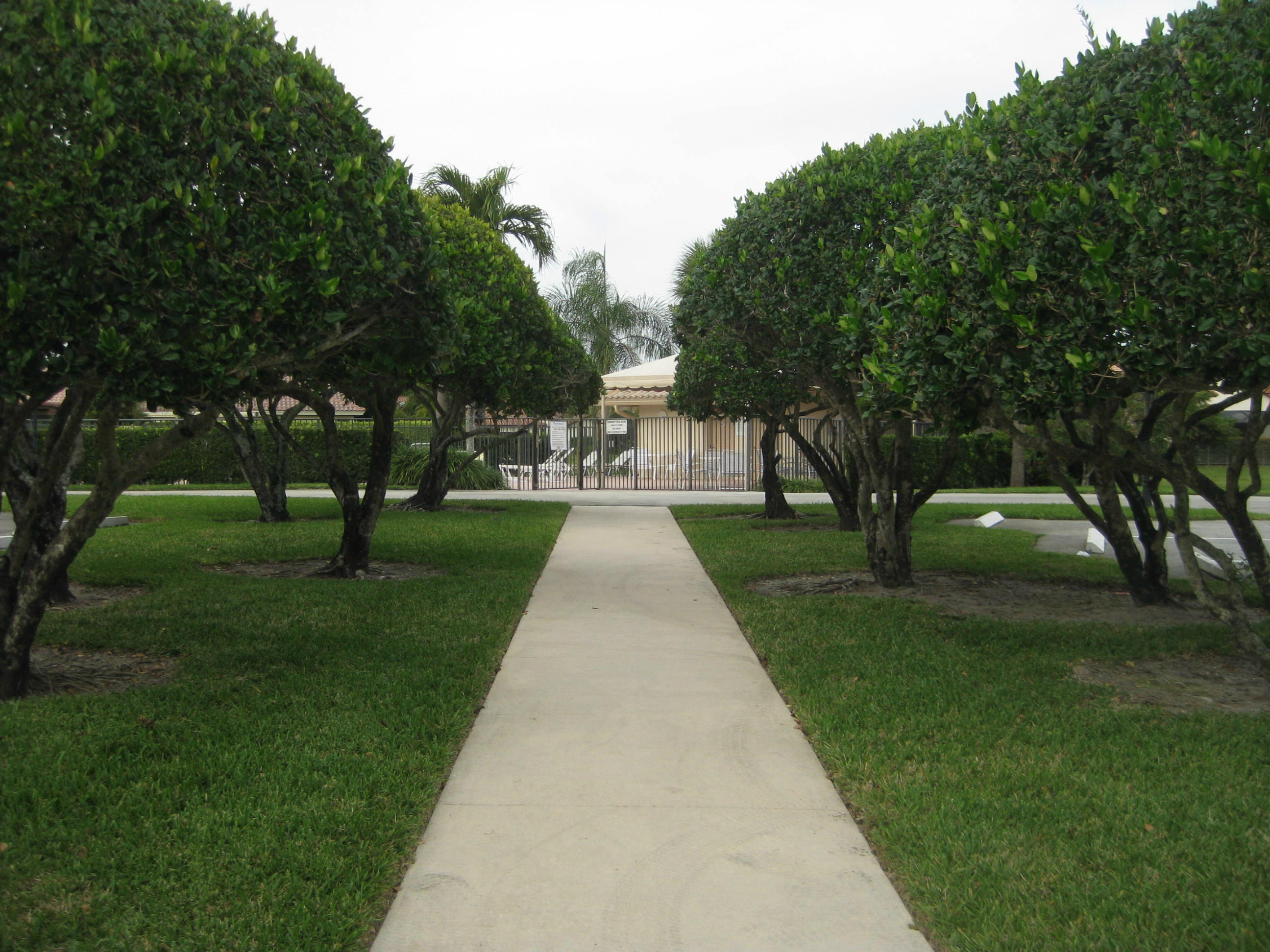 7736 Solimar Circle Boca Raton, FL 33433 - Photo 12 of 14 Pathway to pool