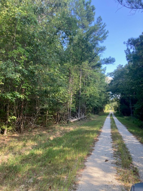 0 New Smith Road Abbeville, SC 29620 - Photo 8 of 8