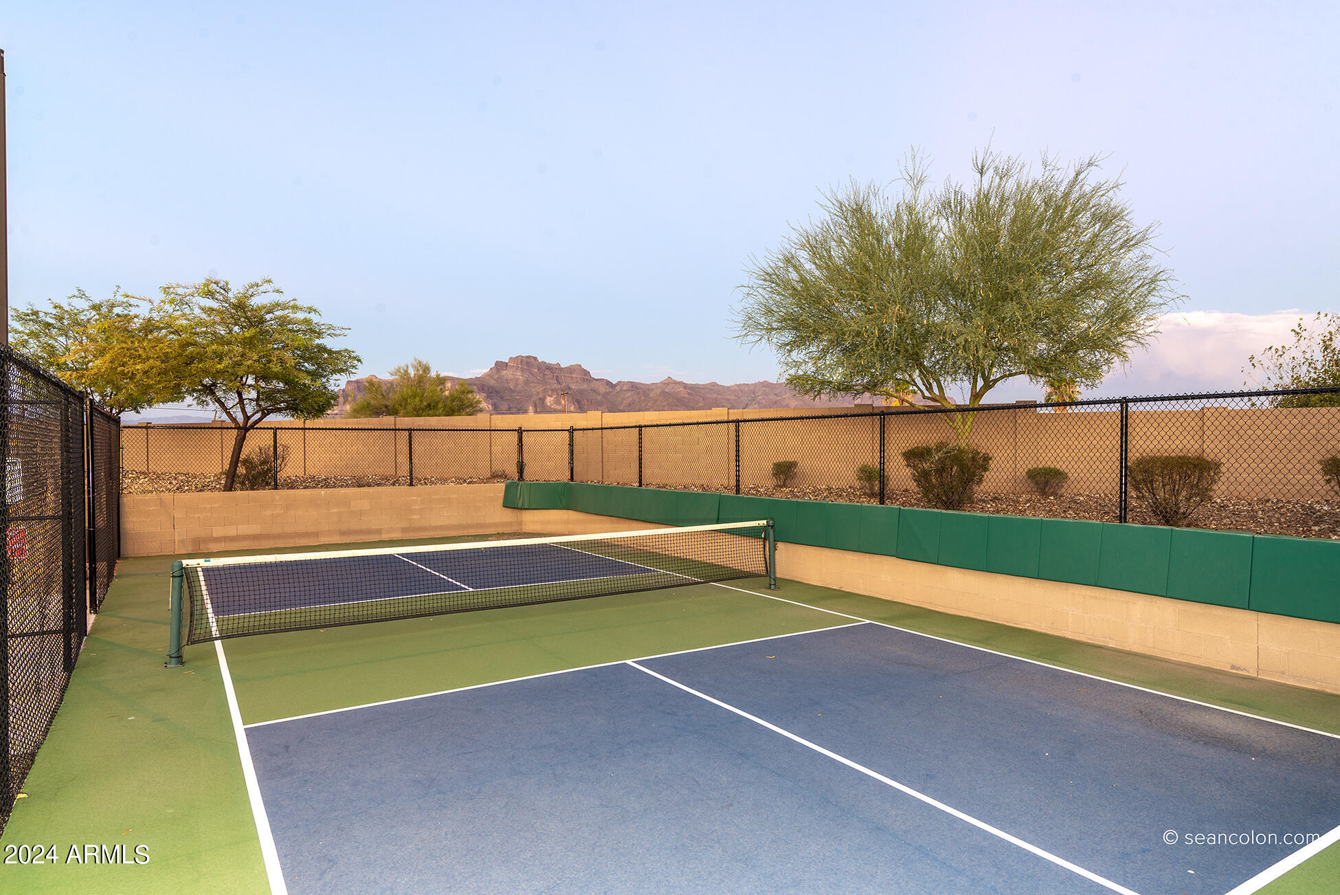 1705 South Aryelle Road Apache Junction, AZ 85119 - Photo 42 of 51 HOA Pickleball!