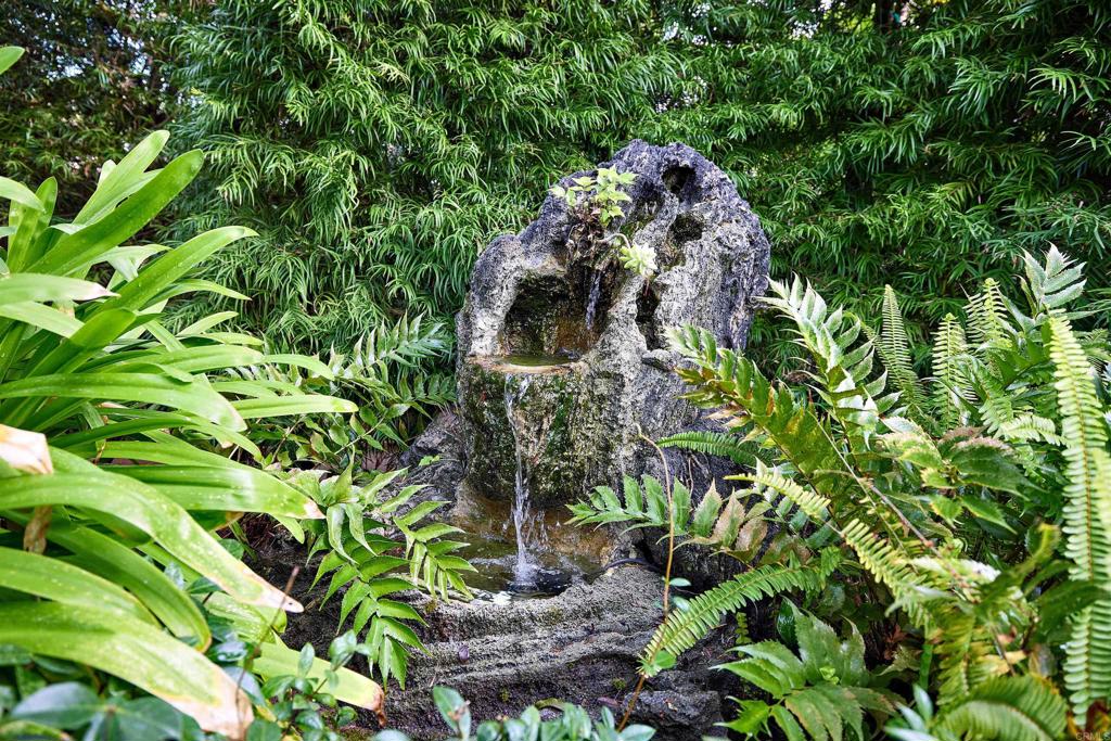 219 Calle De Sereno Encinitas, CA 92024 - Photo 42 of 43 a backyard of a house with lots of green space