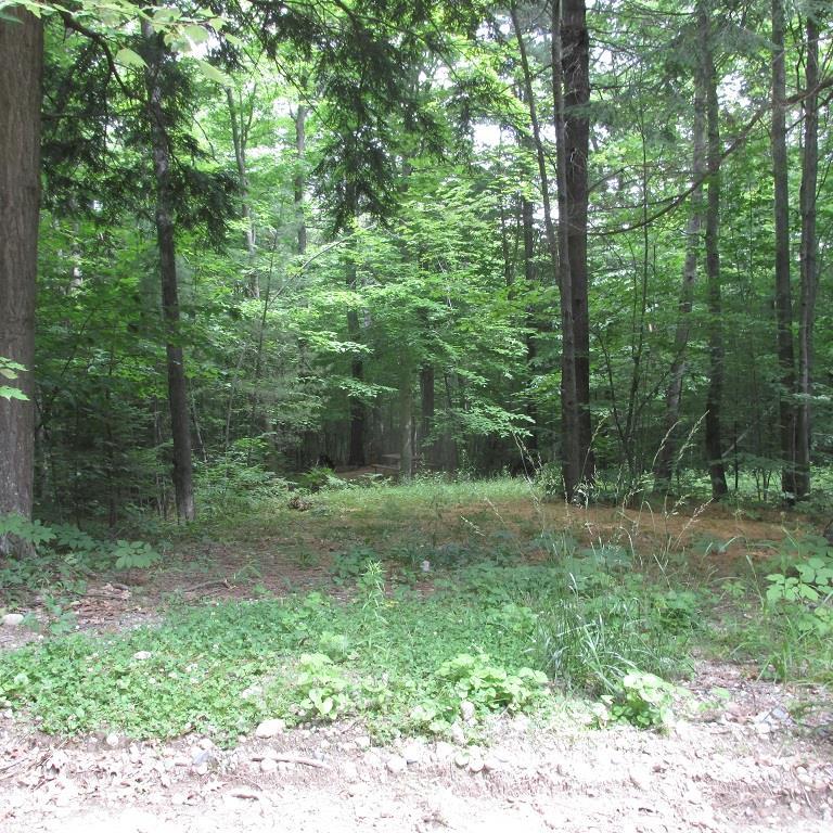 1 Sabattus Trail Road Lovell, ME 04051 - Photo 2 of 2 Photo