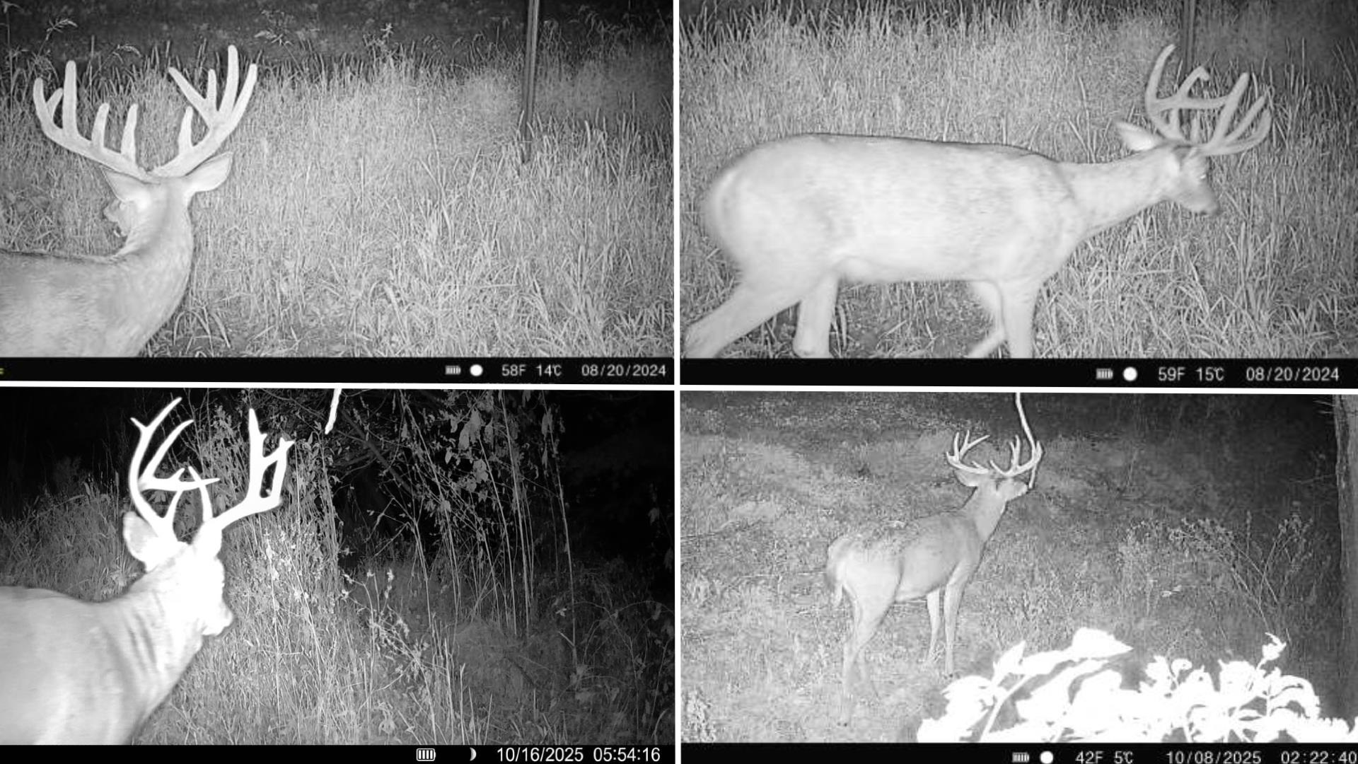 12380 West Ridge Road Blue River, WI 53518 - Photo 32 of 50