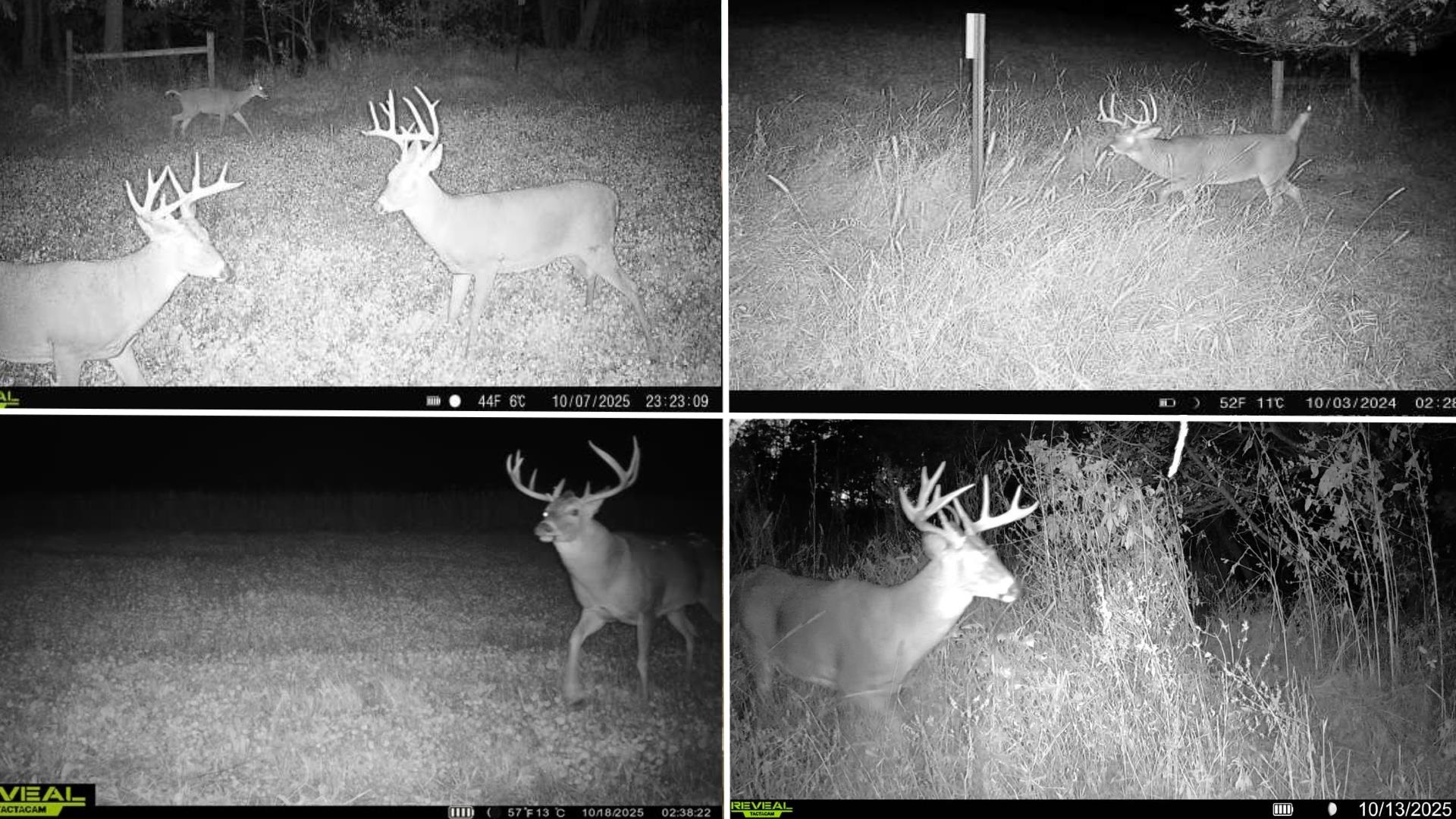 12380 West Ridge Road Blue River, WI 53518 - Photo 33 of 50