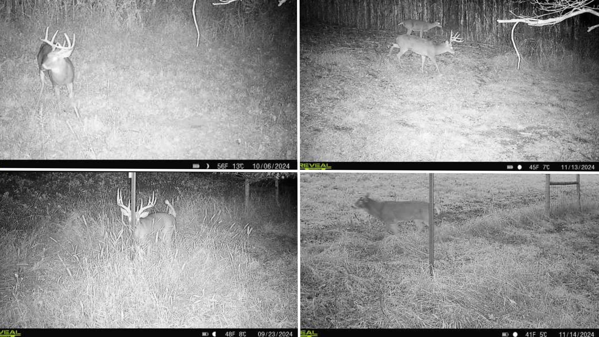 12380 West Ridge Road Blue River, WI 53518 - Photo 34 of 50