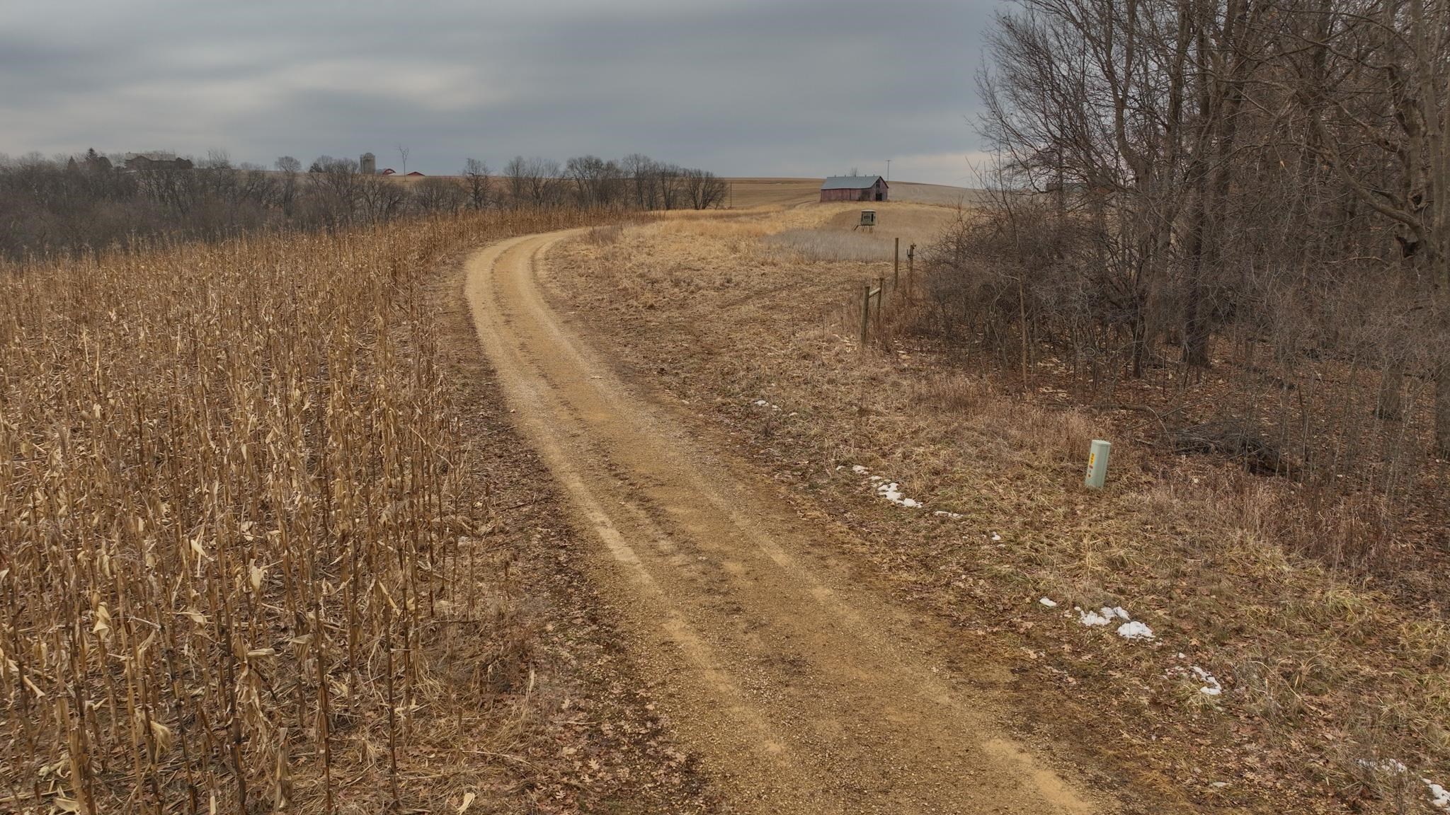 12380 West Ridge Road Blue River, WI 53518 - Photo 4 of 50