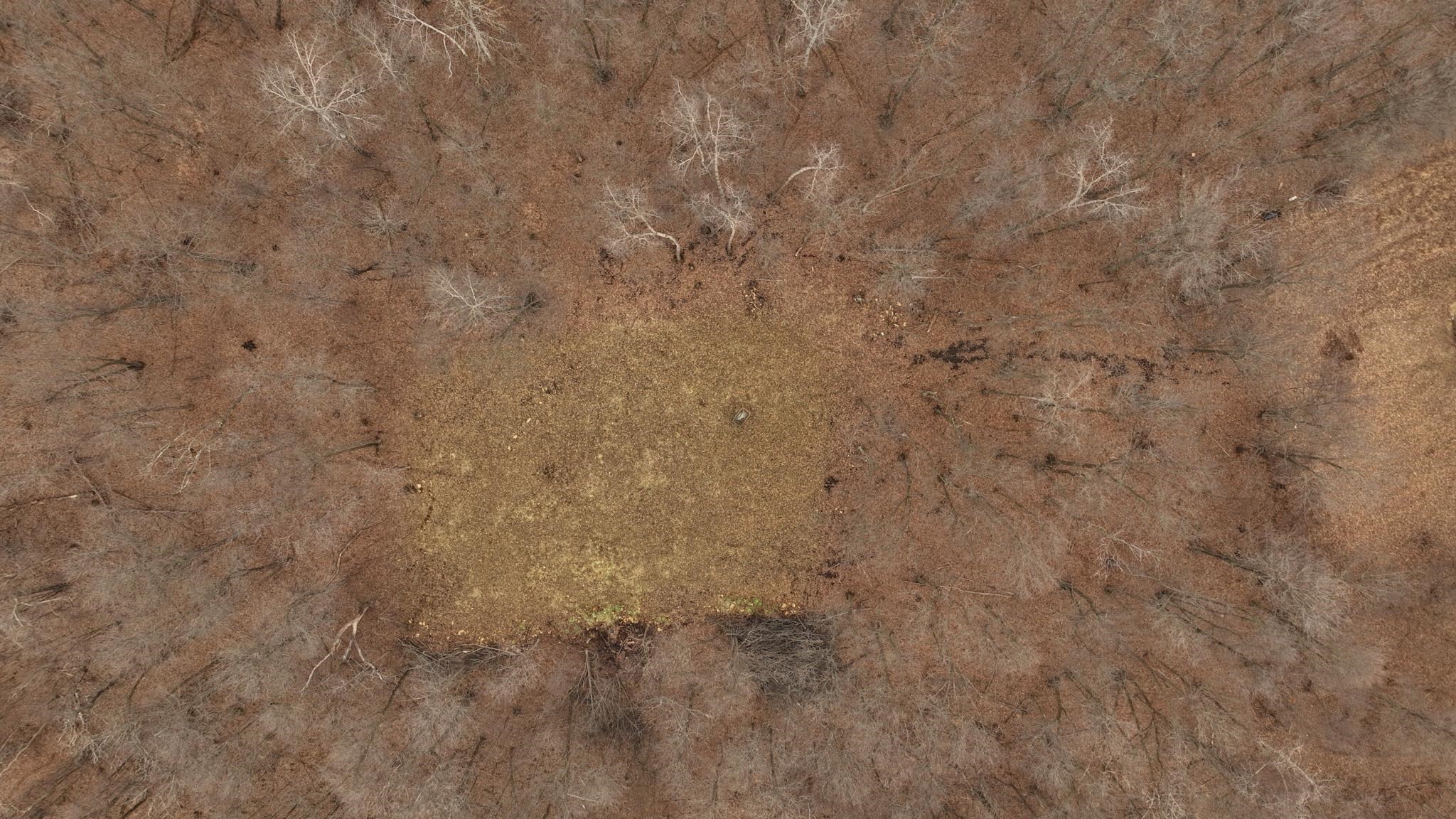 12380 West Ridge Road Blue River, WI 53518 - Photo 41 of 50