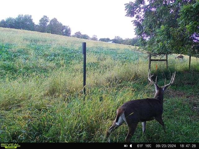 12380 West Ridge Road Blue River, WI 53518 - Photo 44 of 50