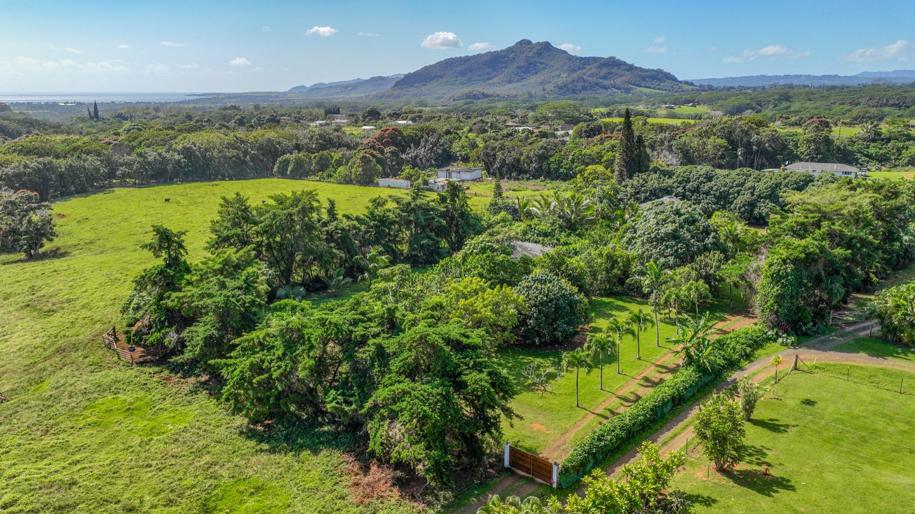5715 Kaehulua Road, Unit 1 Kapaa, HI 96746 - Photo 3 of 22 Gallery Image 3
