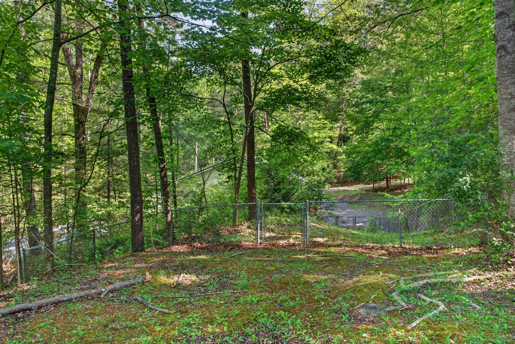 282 West Cherry Road Hayesville, NC 28904 - Photo 42 of 45 a backyard of a house with lots of green space