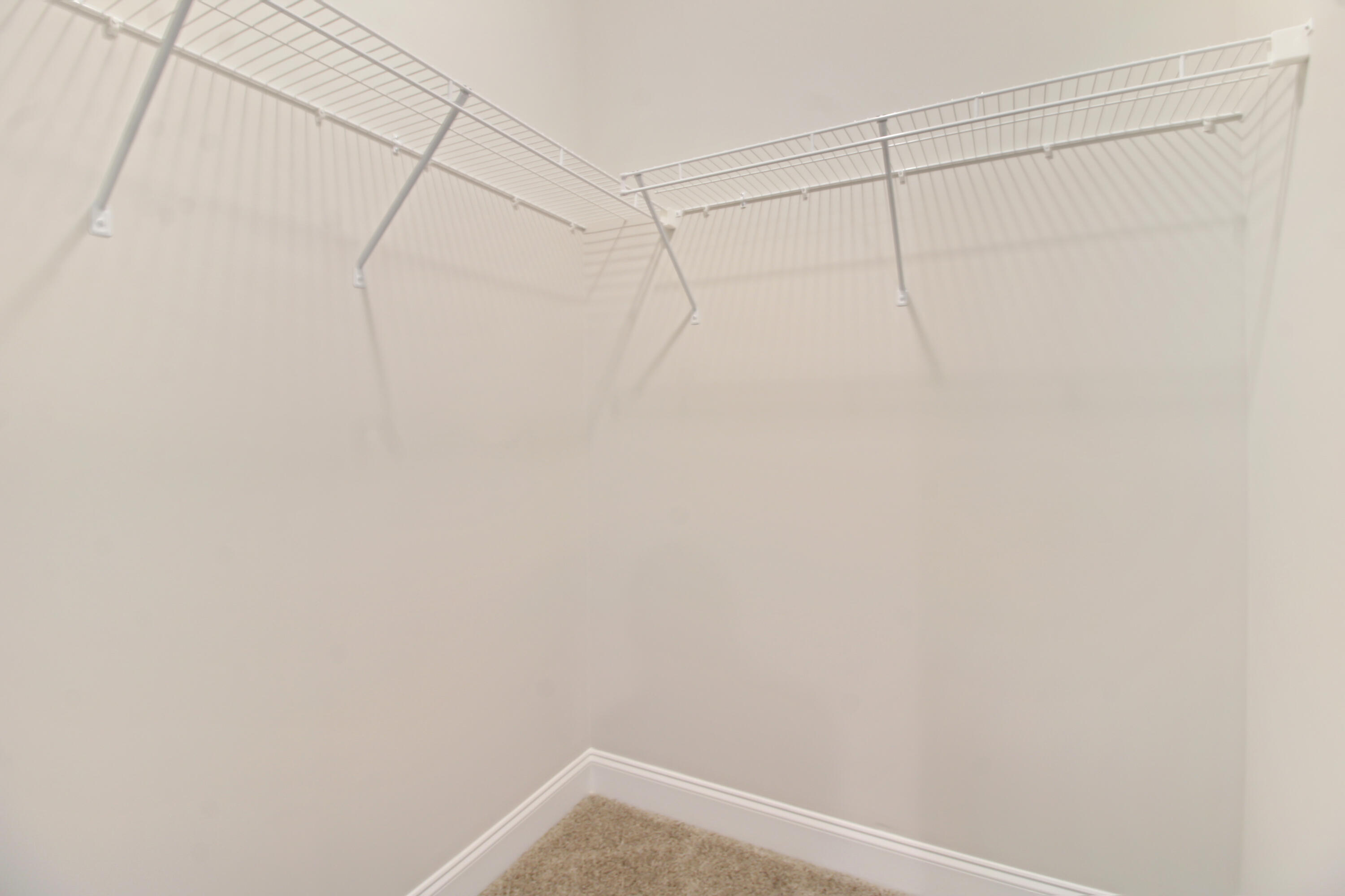 4207 Forest Road Hephzibah, GA 30815 - Photo 29 of 44 Williamsburg_ownerscloset1
