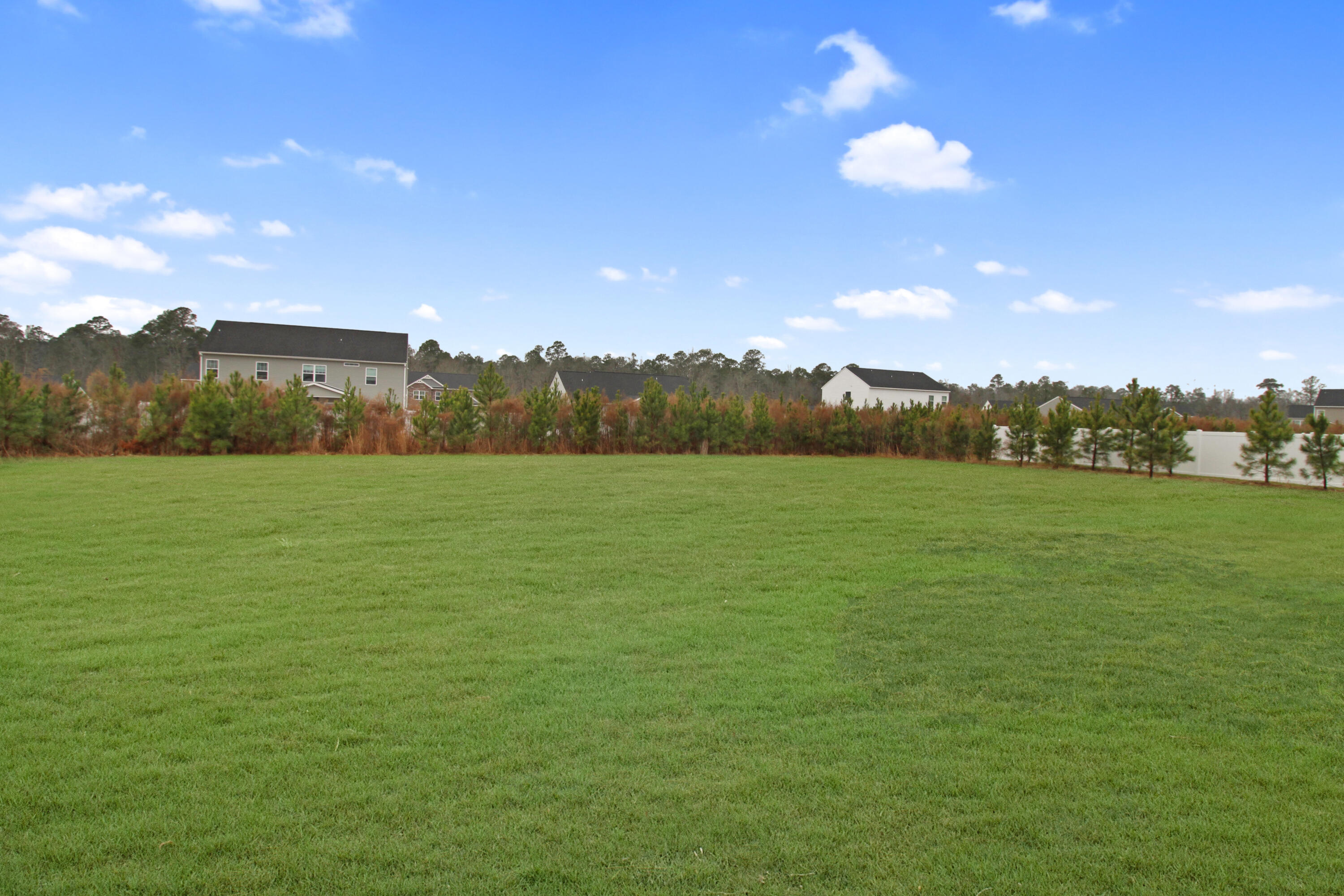 4207 Forest Road Hephzibah, GA 30815 - Photo 43 of 44 Williamsburg_yard