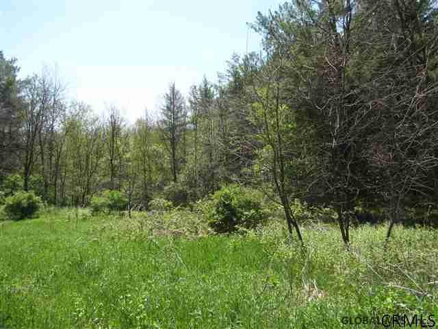 4 Dunham Pond Road Greenfield, NY 12833 - Photo 11 of 13 Photo 11