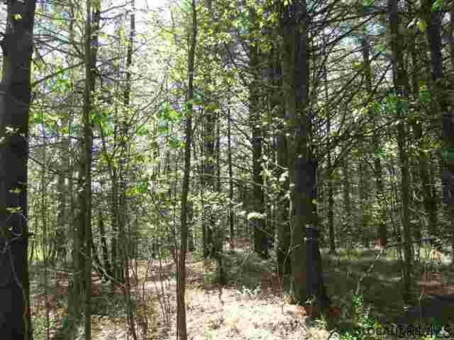 4 Dunham Pond Road Greenfield, NY 12833 - Photo 12 of 13 Photo 12