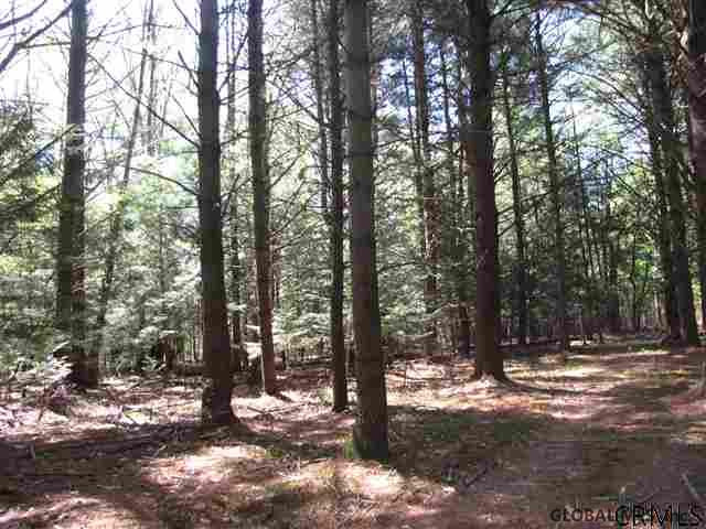 4 Dunham Pond Road Greenfield, NY 12833 - Photo 13 of 13 Photo 15