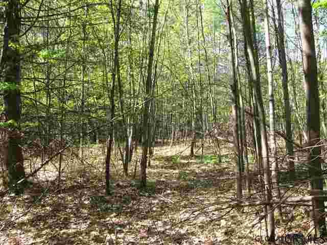 4 Dunham Pond Road Greenfield, NY 12833 - Photo 8 of 13 Photo 8